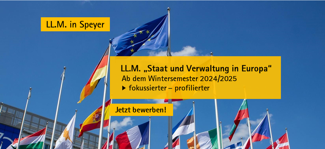 Master of Laws "Staat und Verwaltung in Europa", Bild:pexels-gintarė-kairaitytė 